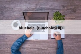 bluehole（Bluehole公司）